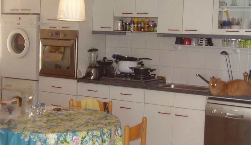 Apartment Efter Tel Aviv - Apt 24589